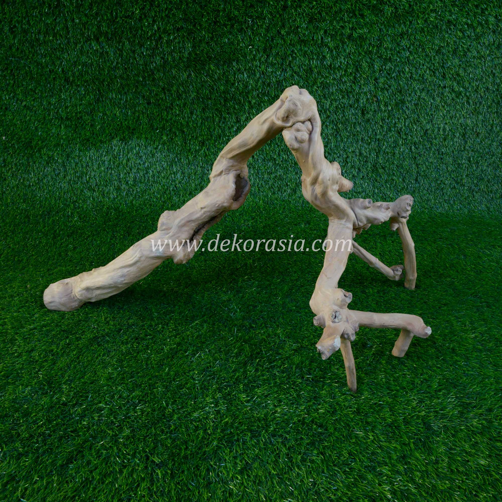 Coffee Root Wood (Size M) for Jungle Gym Reptile, Vivariums Reptile, Aquarium, Aquascaping, Coffee Root Decor Craft